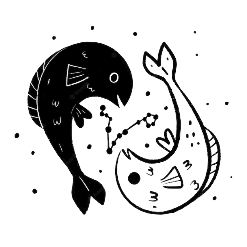 PACK POISSON