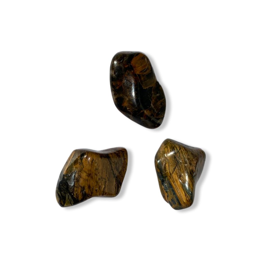 JASPE LEOPARD