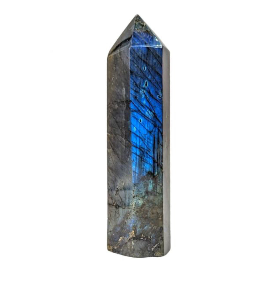 POINTE LABRADORITE