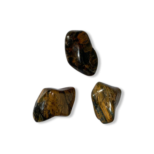 JASPE LEOPARD